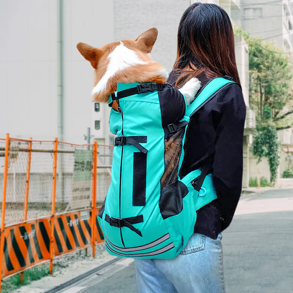 Dog Carrier  Happy Pet3