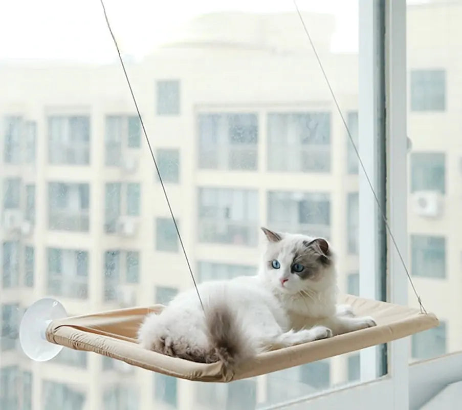 Cat Hanging Bed Shelf  Happy Pet3