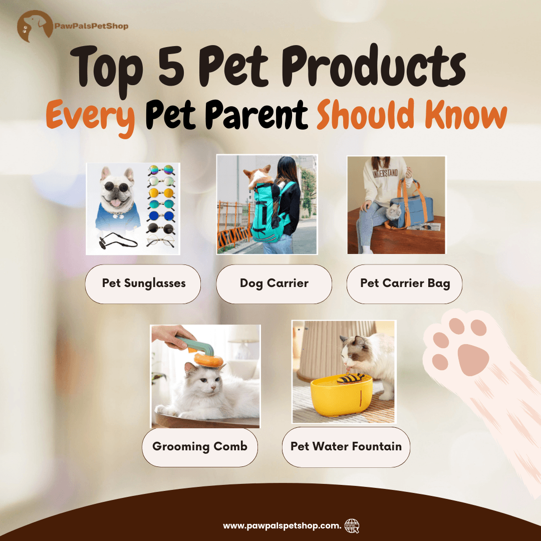 Top 5 Pet Products Every Pet Parent Needs