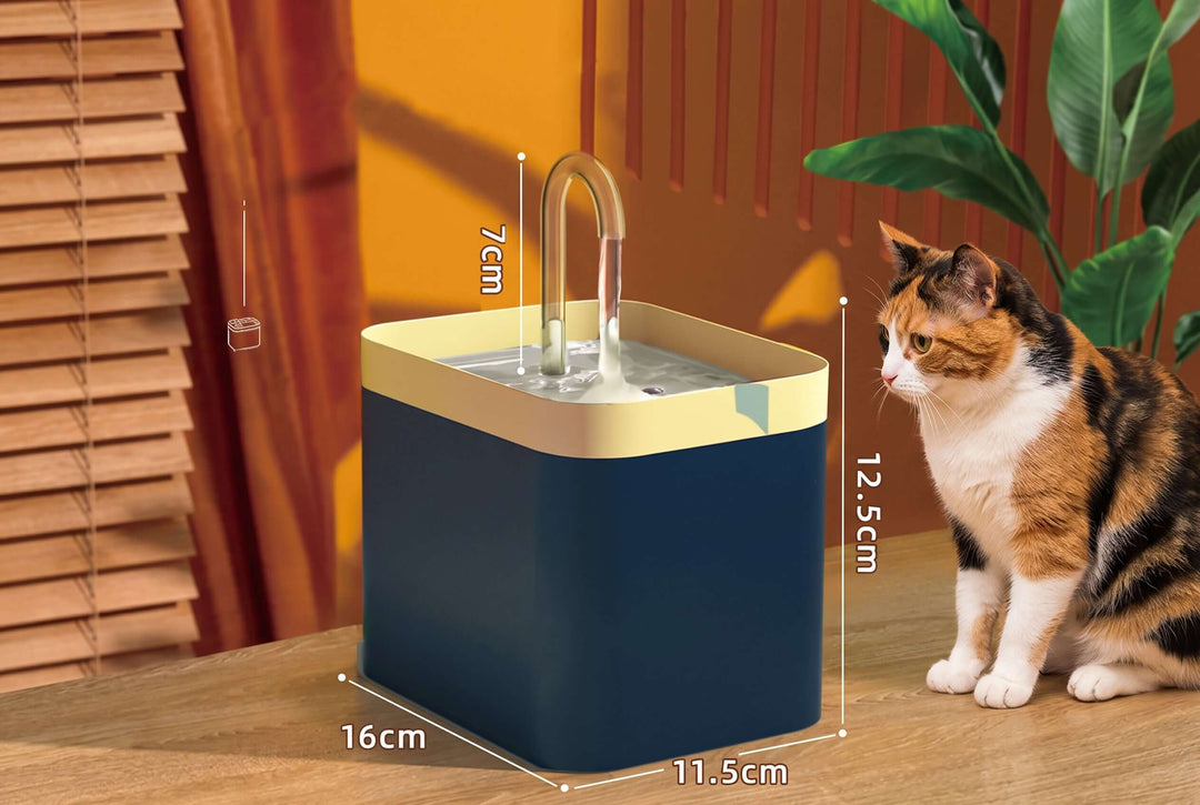 Why Don't Cats Drink Enough Water? A Pet Parent's Guide