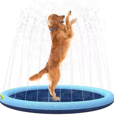 Summer Pet Swimming Pool Paw Pals Pet Shop