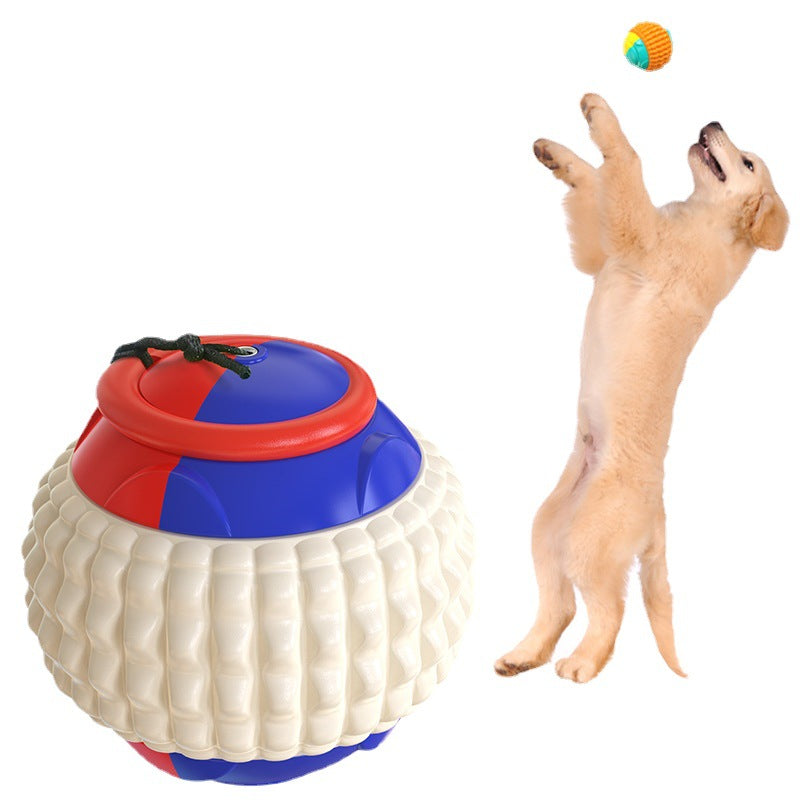 Dog Training Toy Balls for Golfers - Biting and Throwing Paw Pals Pet Shop Blue