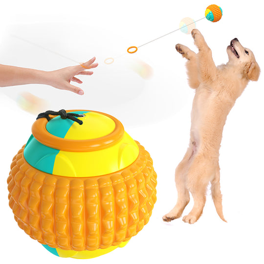 Dog Training Toy Balls for Golfers - Biting and Throwing Paw Pals Pet Shop Orange