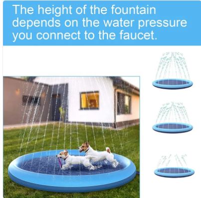 Summer Pet Swimming Pool Paw Pals Pet Shop