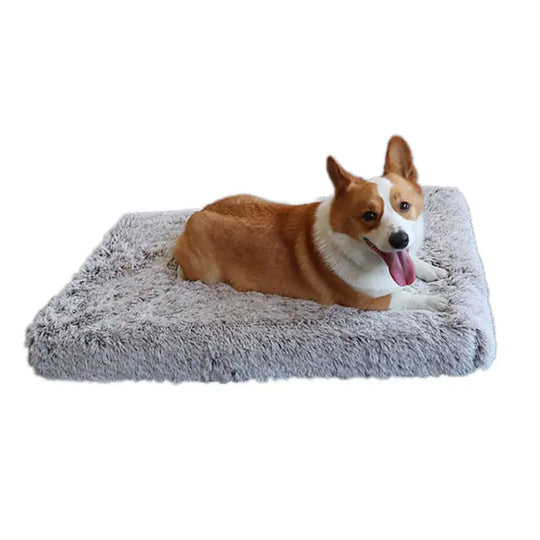 Plush Washable Dog Bed  Happy Pet3 Coffee White S 