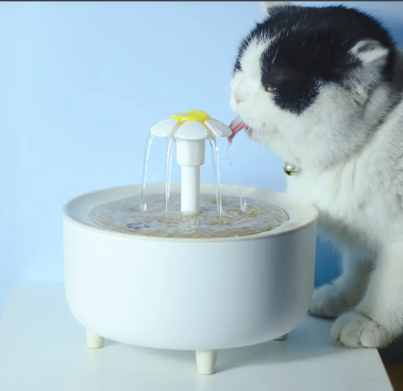 Pet Water Dispenser Paw Pals Pet Shop
