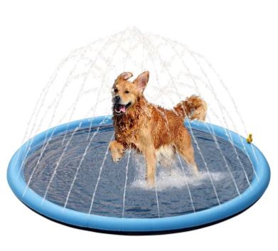 Summer Pet Swimming Pool Paw Pals Pet Shop