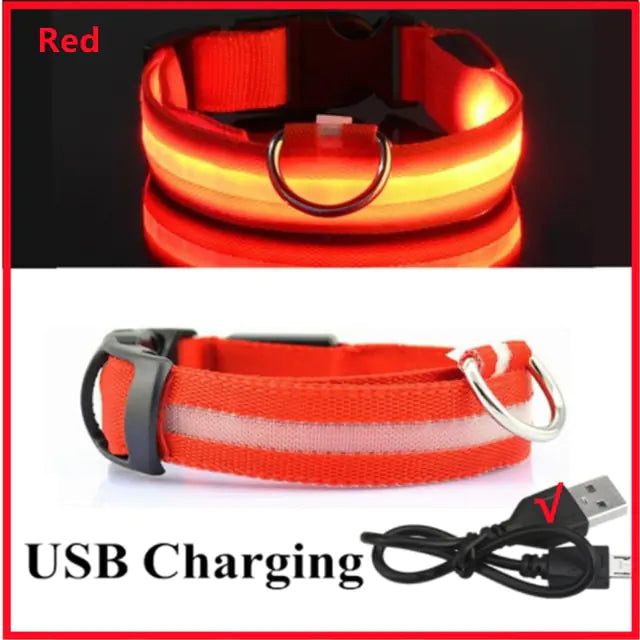 Glowing Dog Collar  Happy Pet3 Red USB Charging M Neck 37-46 CM 