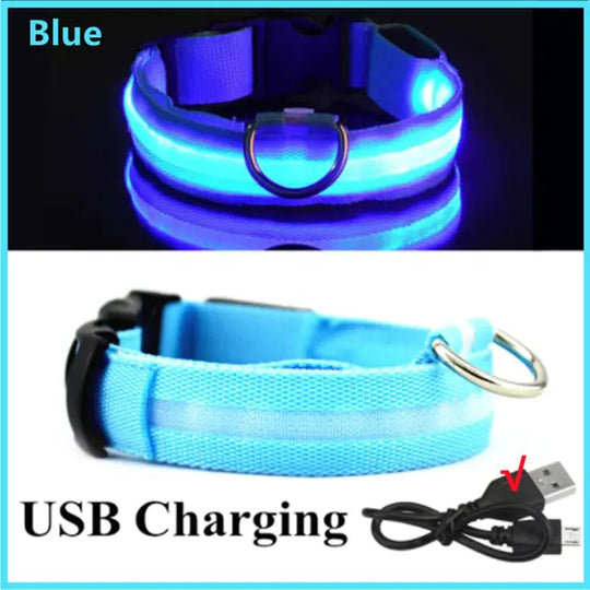 Glowing Dog Collar  Happy Pet3 Blue USB Charging XS Neck 28-38 CM 