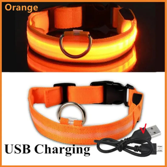 Glowing Dog Collar  Happy Pet3 Orange USB Charging M Neck 37-46 CM 