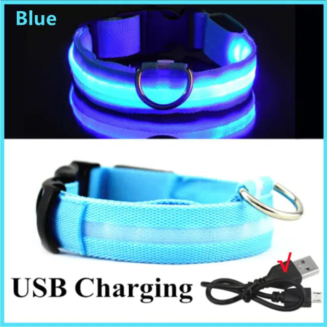 Glowing Dog Collar  Happy Pet3 Blue USB Charging XXL Neck 43-62 CM 