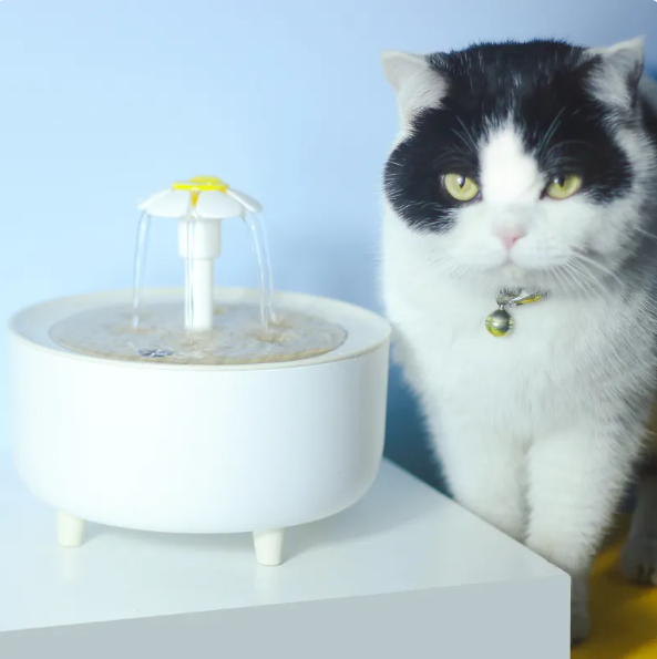 Pet Water Dispenser Paw Pals Pet Shop Usb Interface 5V Voltage Small Flower Water Dispenser