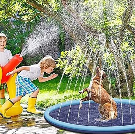 Summer Pet Swimming Pool Paw Pals Pet Shop