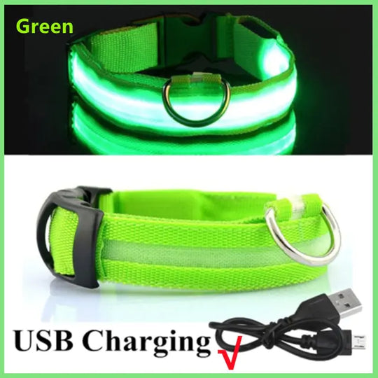 Glowing Dog Collar  Happy Pet3 Green USB Charging M Neck 37-46 CM 