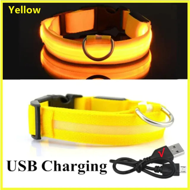 Glowing Dog Collar  Happy Pet3 Yellow USB Charging L Neck 41-52 CM 