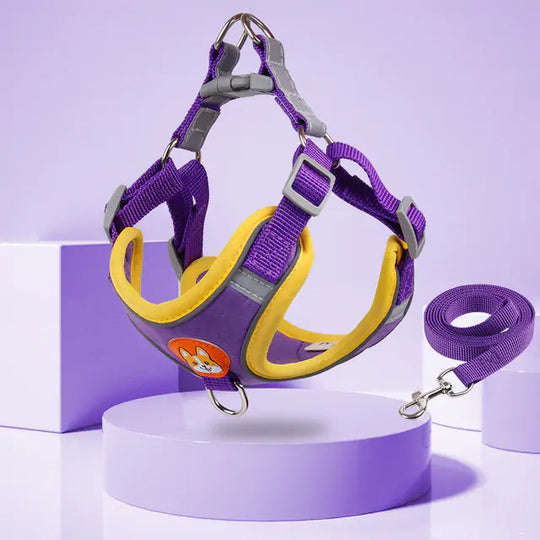 Reflective Pet Harness And Leash Set  Happy Pet3 Purple L(for7-10kg) 