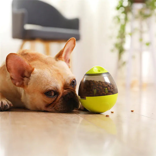 Pet Toys