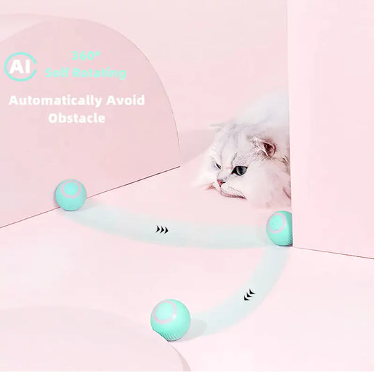 Smart Cat Ball Toys  Happy Pet3   