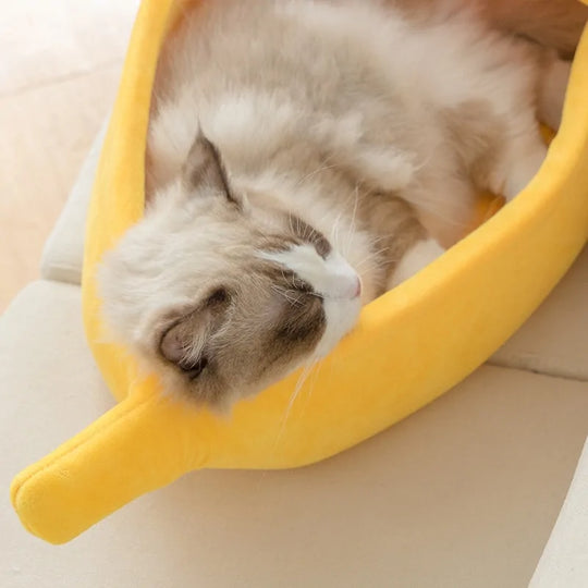 Banana Cat Bed  Happy Pet3   