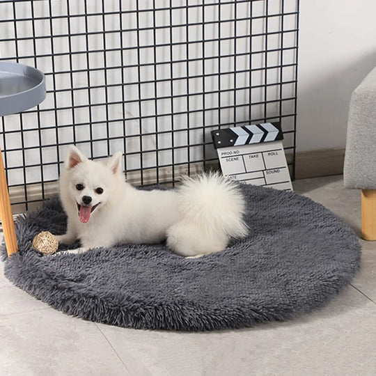 Round Dog Bed  Happy Pet3   