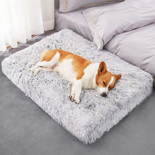 Plush Washable Dog Bed  Happy Pet3   