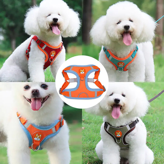 Reflective Pet Harness And Leash Set  Happy Pet3   