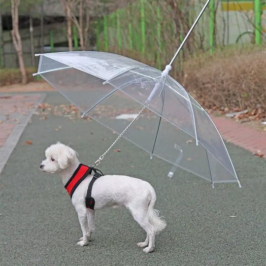 Pet Umbrella Leash  Happy Pet3   