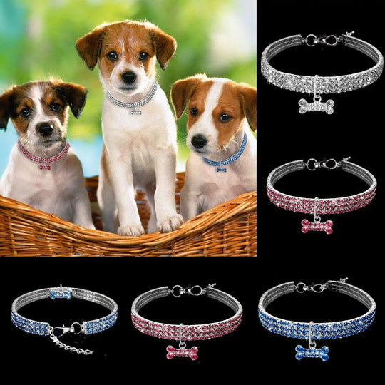 Pet Collar  Happy Pet3   