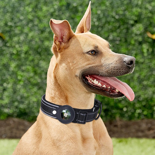 Airtag Dog Collar  Happy Pet3   