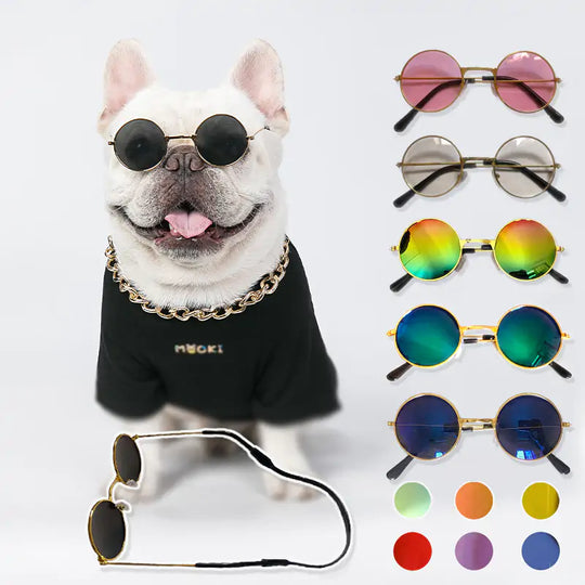 Pet Sunglasses  Happy Pet3   