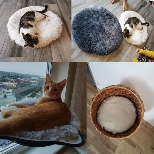 Round Dog Bed  Happy Pet3   