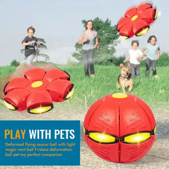 Pet Flying Saucer Ball  Happy Pet3   